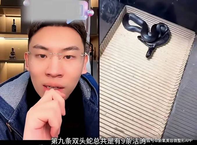 爱浪直播官方如何成为网红主播的最佳平台？揭秘成功背后的秘密