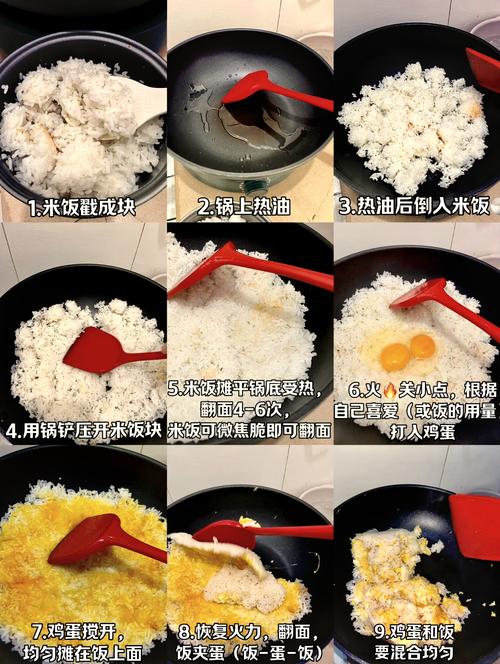 饭饭星球普通版的秘密如何高效利用提升生活质量？