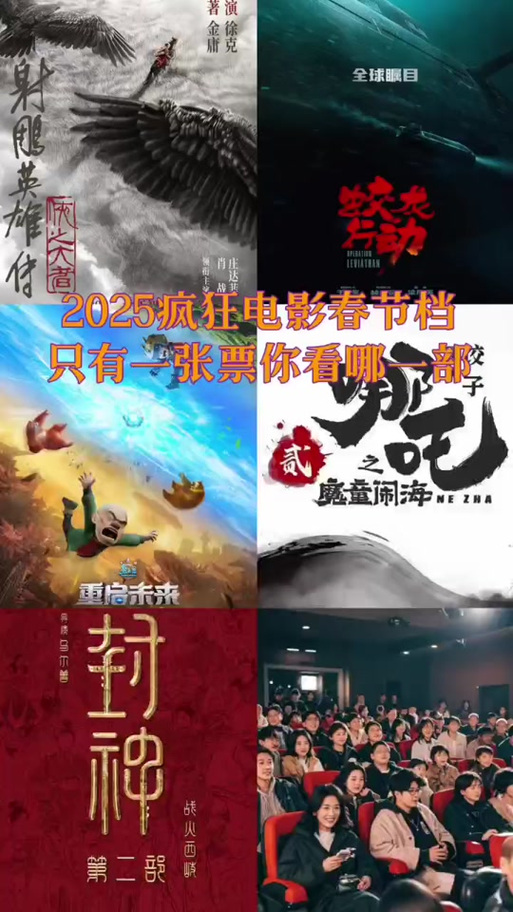 2025影院指南10个必看的高评分电影推荐