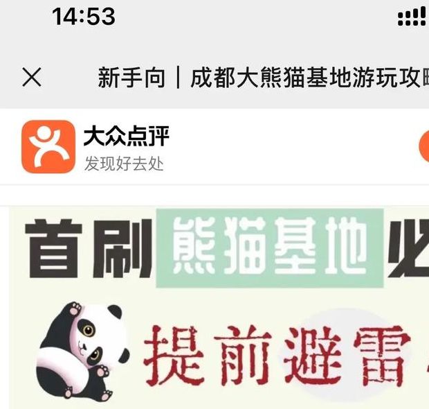 熊猫视频最新版必知技巧解锁隐藏功能，提升观看体验！