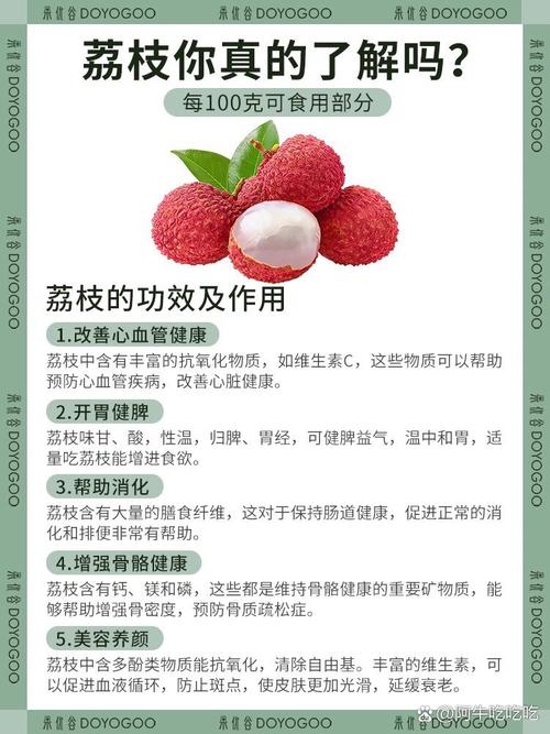 荔枝1.0免费版为何备受追捧？探索隐藏功能的秘密
