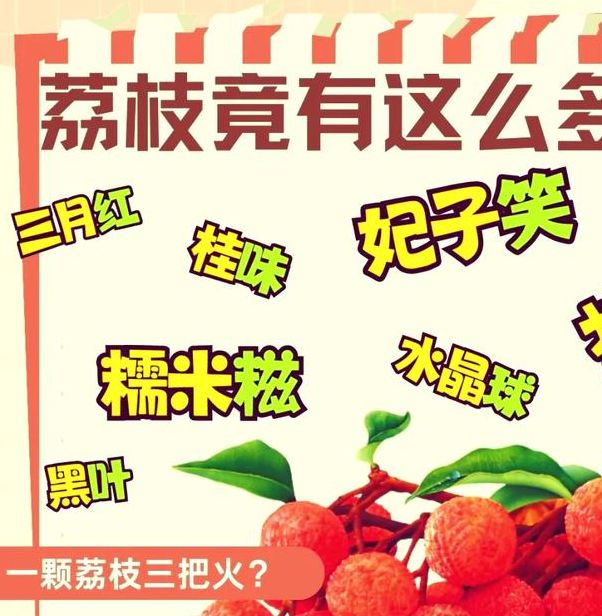 荔枝1.0免费版为何备受追捧？探索隐藏功能的秘密
