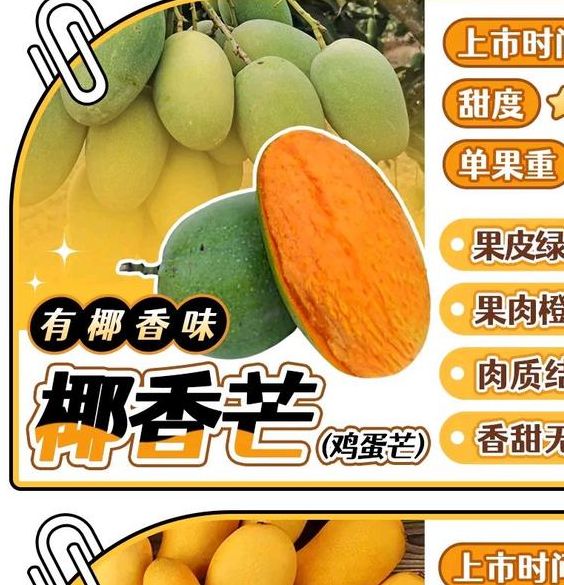 一区二区三区芒果品质解析选购技巧与营养价值对比