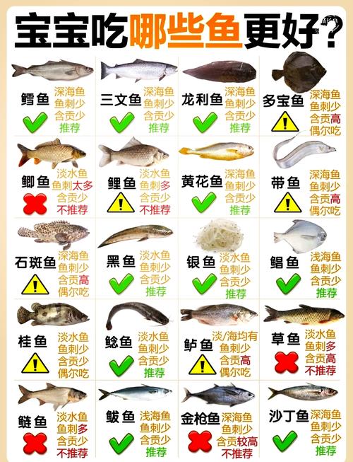 梦见鳕鱼预示着哪些？解读梦境背后深意与生活启示