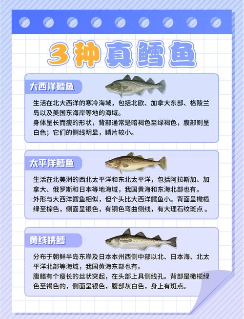 梦见鳕鱼预示着哪些？解读梦境背后深意与生活启示