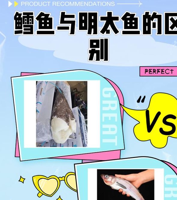 梦见鳕鱼预示着哪些？解读梦境背后深意与生活启示