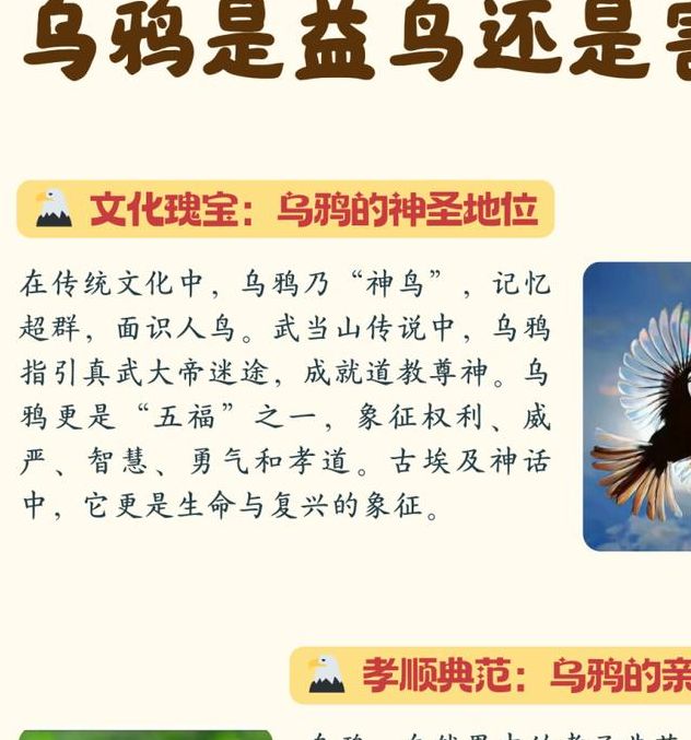 梦见乌鸦寓意背后如何解读你的潜意识信号？