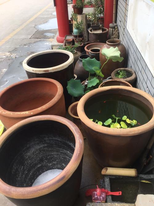 梦见大水缸象征哪些？解码梦境与生活关联的深层意义
