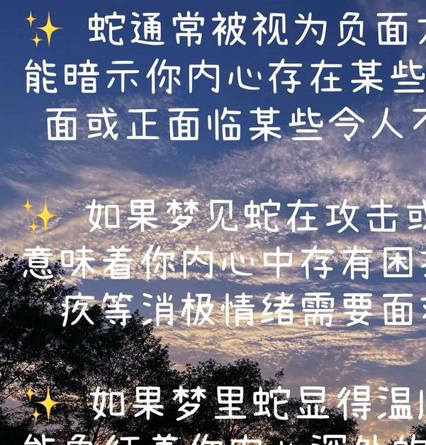梦见白蛇意味着哪些？揭开梦境背后的神秘预兆