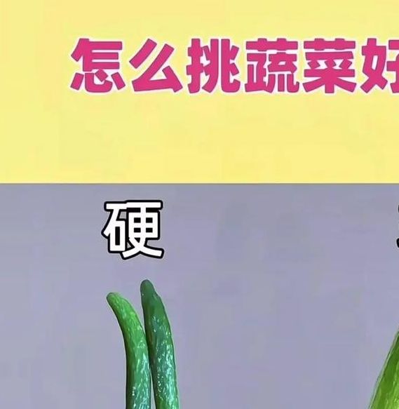 梦见黄瓜象征意义解析与生活启迪对比分析