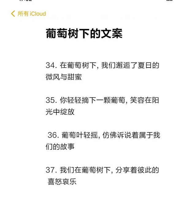 梦见葡萄园意味着哪些？深入解读梦境背后的心理暗示
