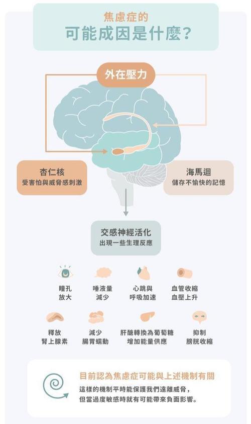 梦见作业解析潜意识压力与现实焦虑对比分析 梦见作业解析潜意识压力与现实焦虑对比分析