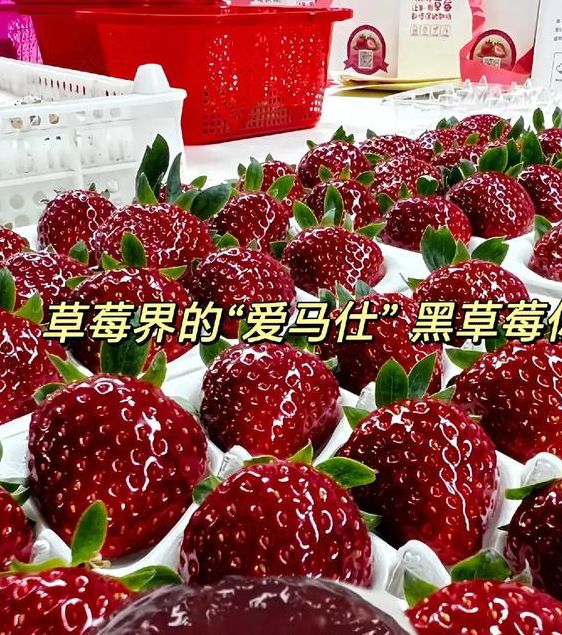 梦见黑草莓象征意义揭秘从心理分析到生活启示 梦见黑草莓象征意义揭秘从心理分析到生活启示