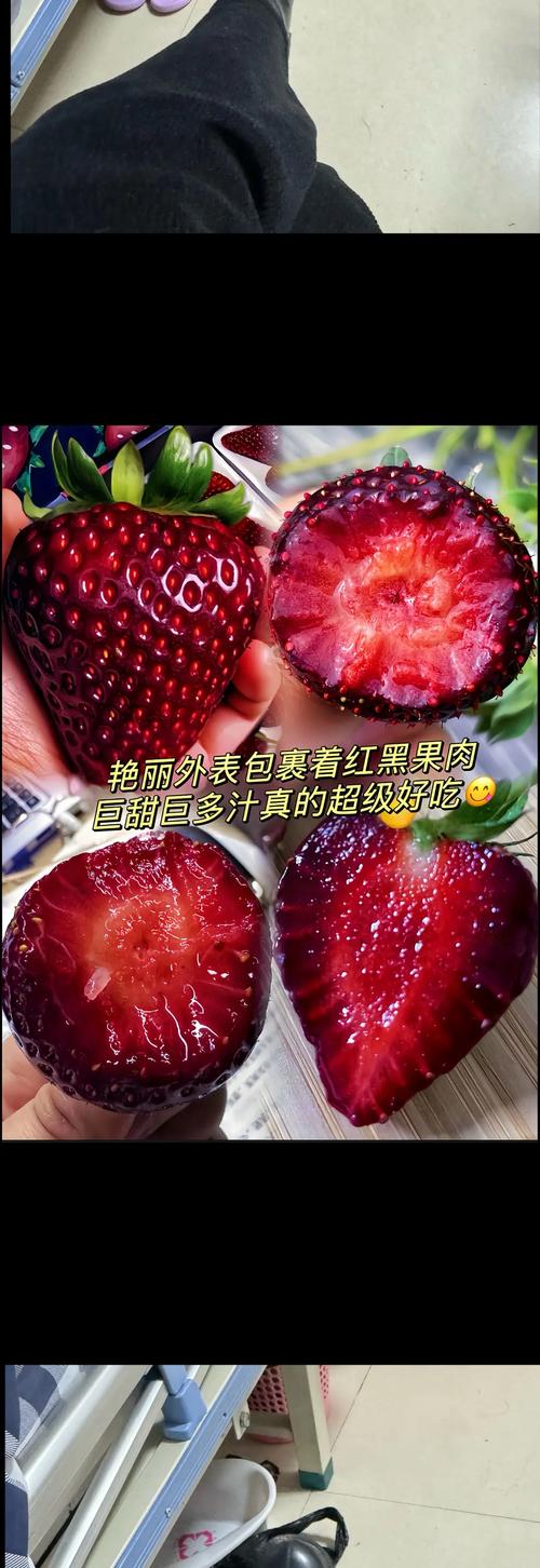 梦见黑草莓象征意义揭秘从心理分析到生活启示 梦见黑草莓象征意义揭秘从心理分析到生活启示