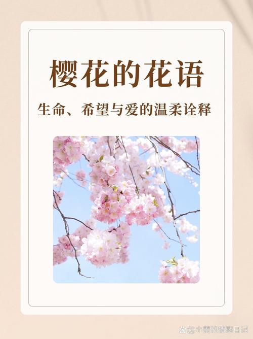 解梦: 梦见樱花象征哪些启示？背后隐藏的心理暗示探秘