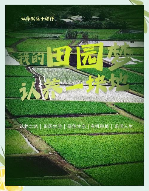 梦见田地 vs 梦见庄稼揭示潜意识里的财富与挑战