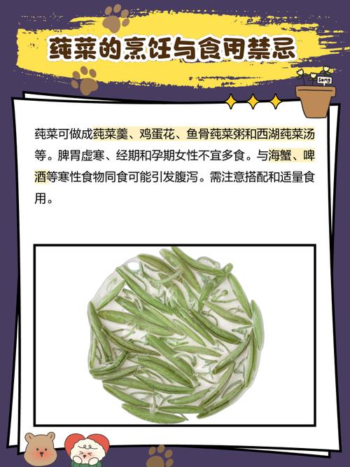 梦见莼菜代表哪些意义？解析梦境背后的心理暗示与生活启示