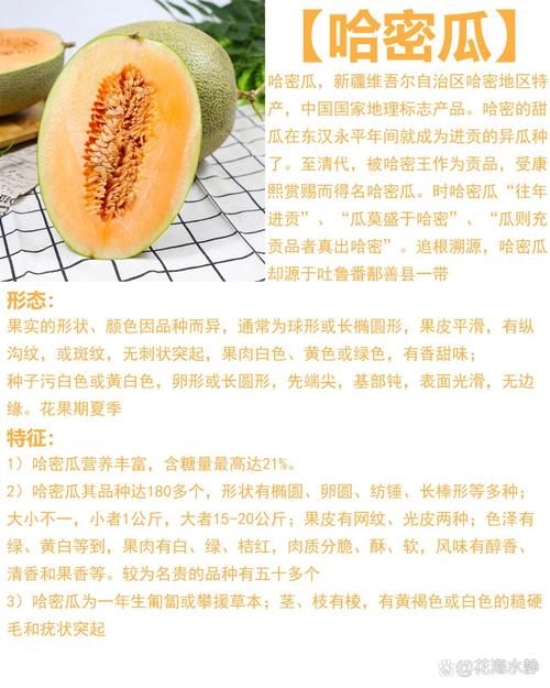 梦见哈密瓜的5大隐喻专家解读与心理健康启示