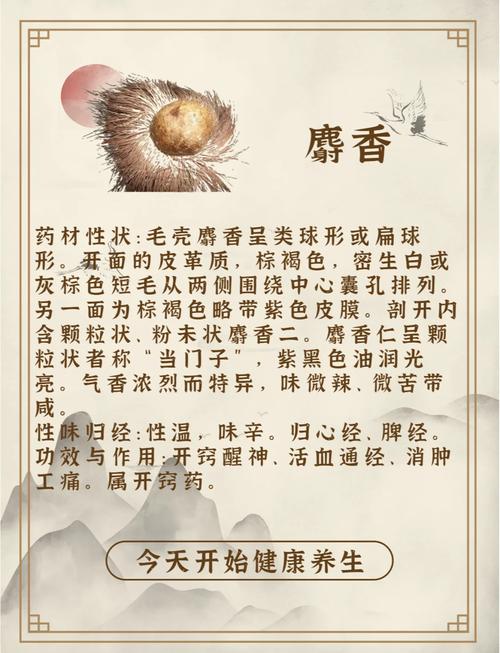 梦见麝香预示哪些？解读象征意义与高效应对策略