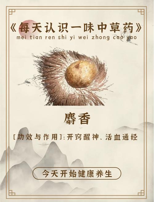 梦见麝香预示哪些？解读象征意义与高效应对策略