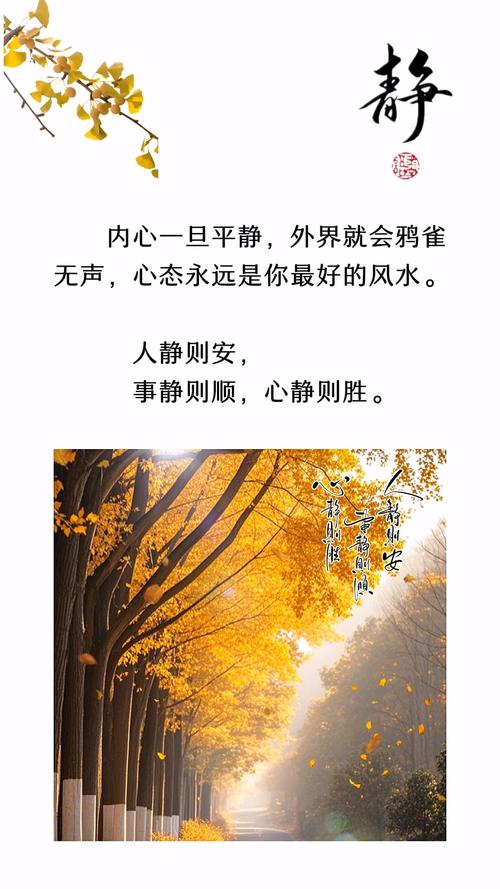 安抚梦境的心理解析5个专家建议提升内心平静