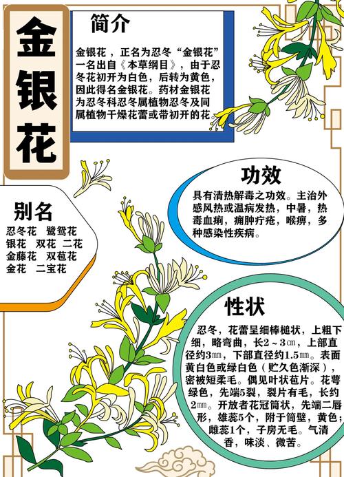 揭秘梦见金银花的10种象征意义，专家解读必看