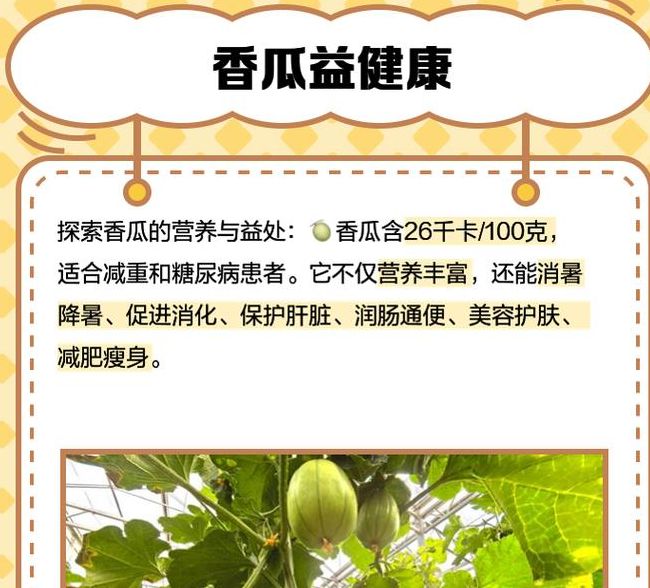 梦见香瓜的深度解析背后寓意与情感高效解读