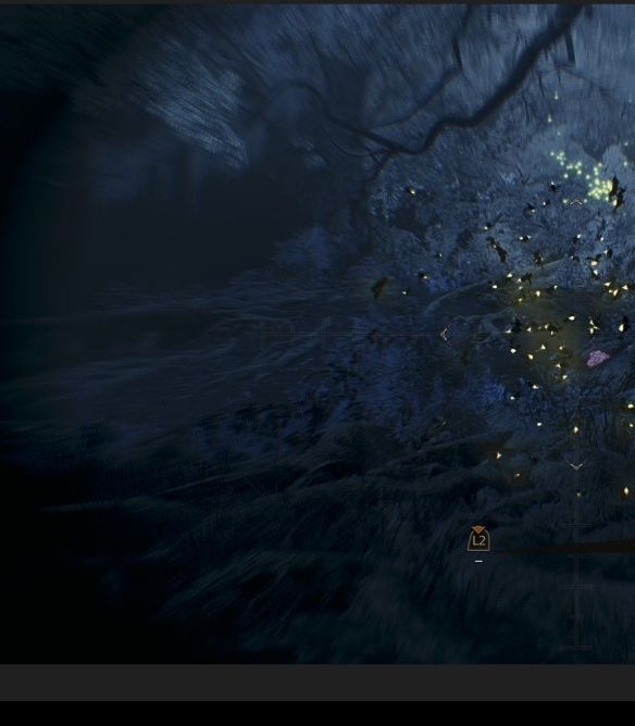 如何高效收集怪物猎人：荒野中的大雷光虫？快速掌握这些实用技巧！