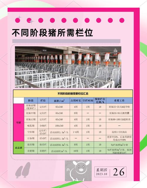 梦见牲畜栏意味着哪些？解析与高效解决方案的关联