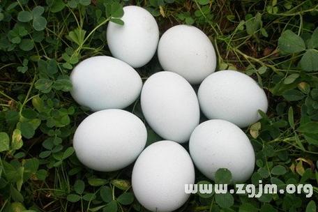 梦见好多鸭蛋解析精神暗示与财富征兆大对比