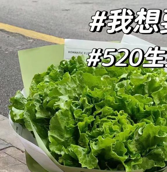 梦见生菜意味着哪些？解读梦境中生菜的象征及背后寓意