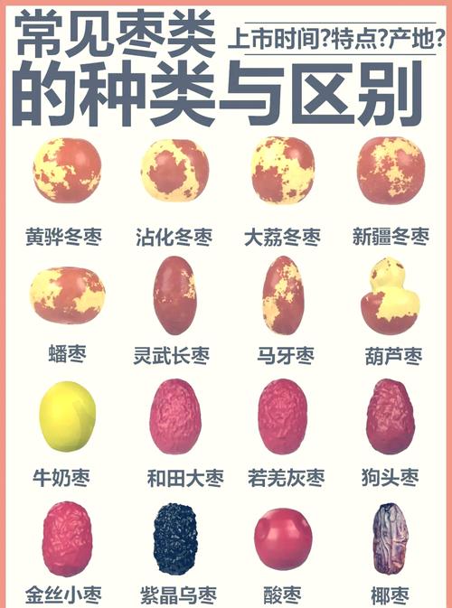 梦见大枣意味着哪些？了解大枣梦境的象征与心理解析