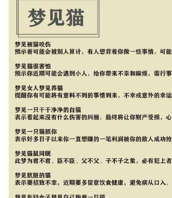 梦见了好多猫预示着哪些？揭秘梦境背后的深层含义