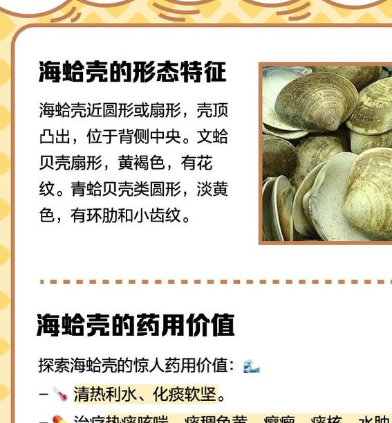 梦见海鲜贝壳解梦分析揭示隐藏的机遇与财运秘诀