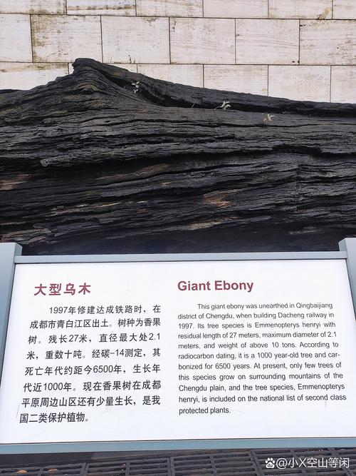 梦见乌木象征何意？解读古老木材背后的秘密！