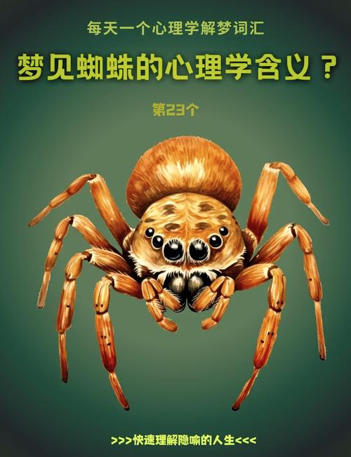 梦见黑蜘蛛预示哪些？揭秘梦境背后的心理暗示与应对策略