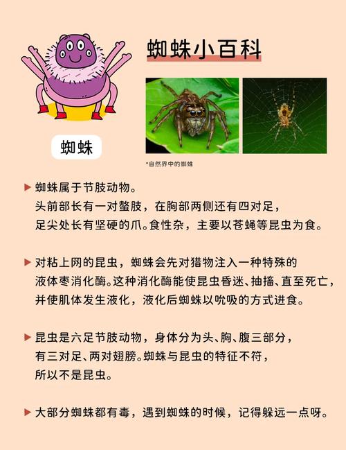 梦见黑蜘蛛预示哪些？揭秘梦境背后的心理暗示与应对策略