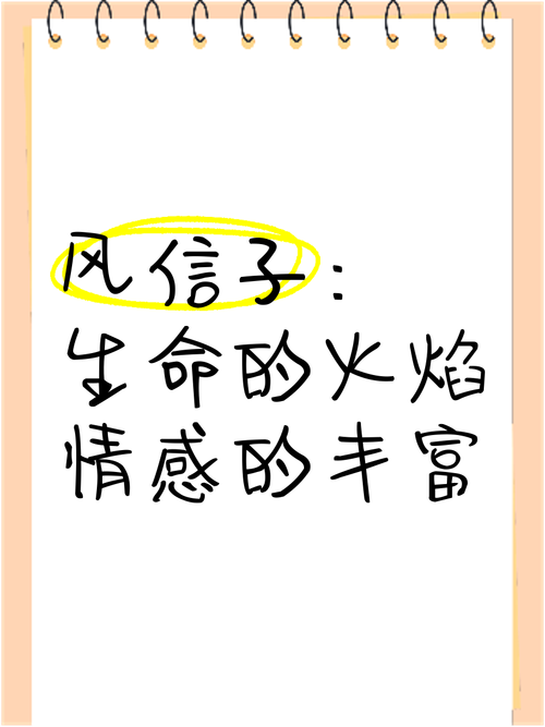 梦见风信子寓意解析心理暗示与生活启迪之比较 梦见风信子寓意解析心理暗示与生活启迪之比较