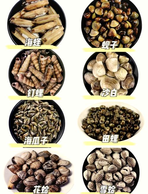 解梦梦见蛤蜊象征意义与现实心态对比分析 解梦梦见蛤蜊象征意义与现实心态对比分析