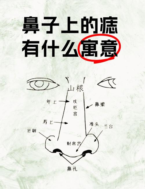梦见鼻子预示哪些？解密背后深藏的5个秘密
