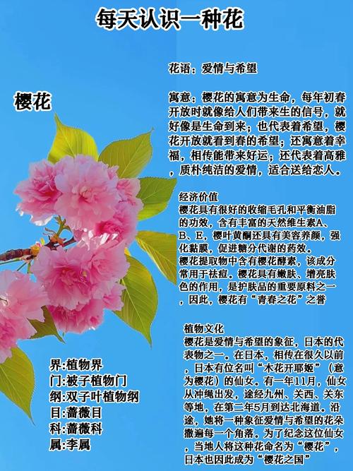解读梦见樱花盛开3个权威心理学视角解析