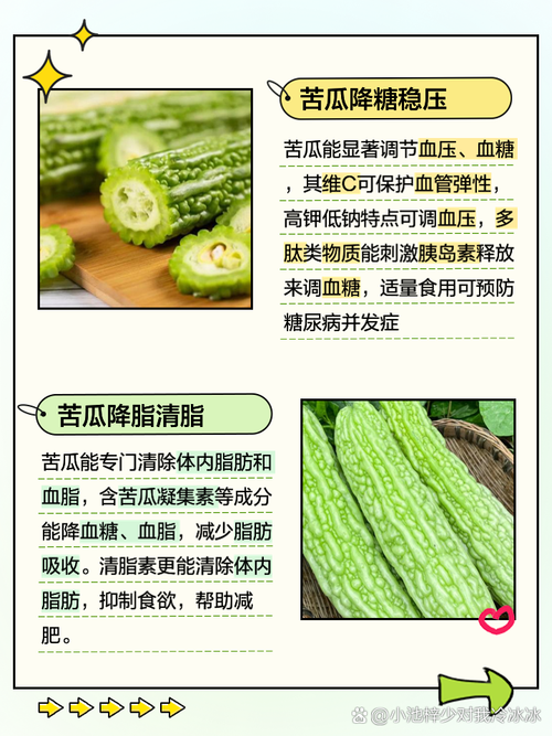 揭示梦见苦瓜真相心理解读与未来影响深度剖析