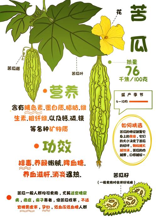 揭示梦见苦瓜真相心理解读与未来影响深度剖析