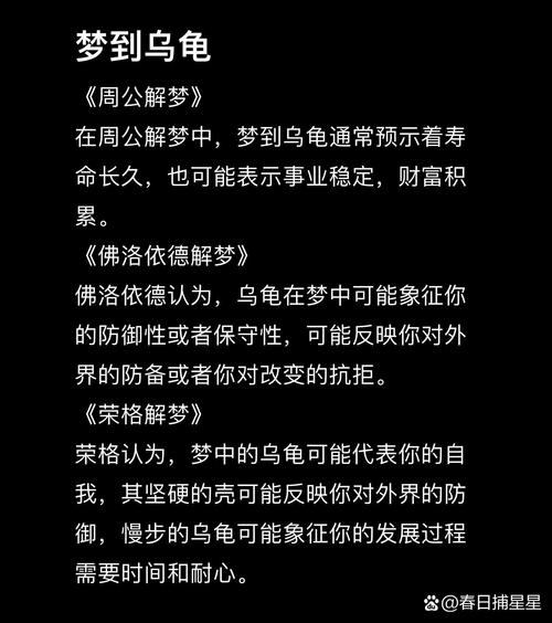 梦见手握乌龟寓意何解？揭秘梦境背后隐藏玄机！