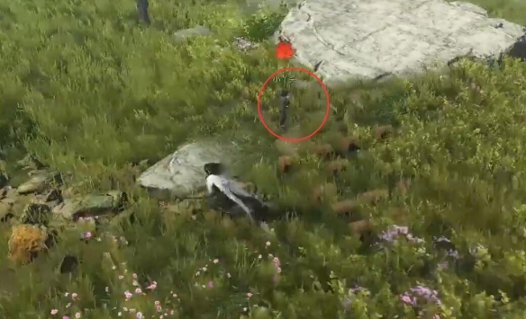 你知道如何完成逆水寒手游中的爱糖小童奇遇吗? 你知道如何完成逆水寒手游中的爱糖小童奇遇吗?