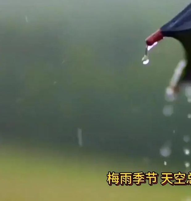 梦见细丝绵绵的梅雨它在隐喻生活挑战吗？