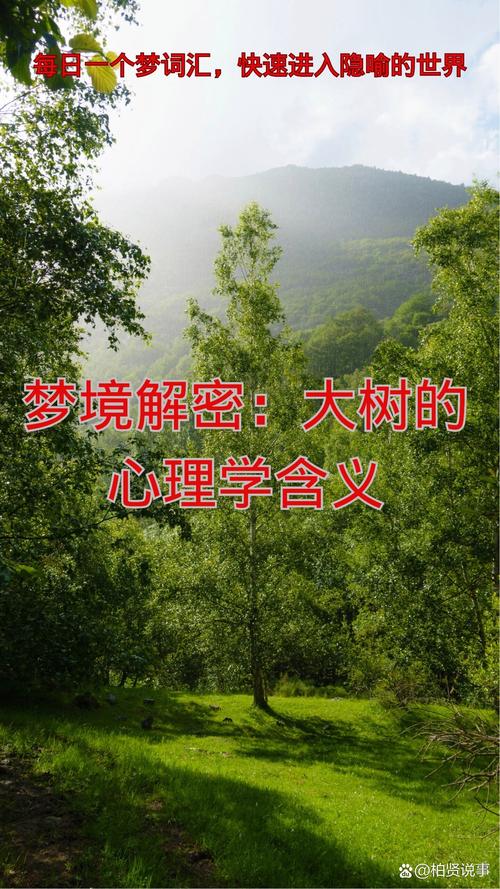 梦见树皮预示哪些？深度解析梦境背后的意义！