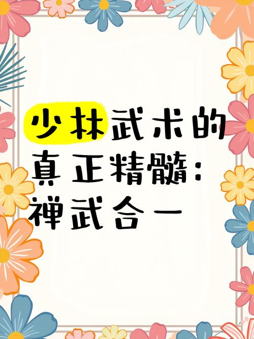 轻松掌握‘禅武合一’精髓：揭秘传统武术精华与实用攻略