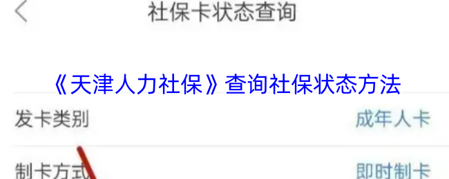 如何高效查询天津人力社保？详解社保状态查询步骤