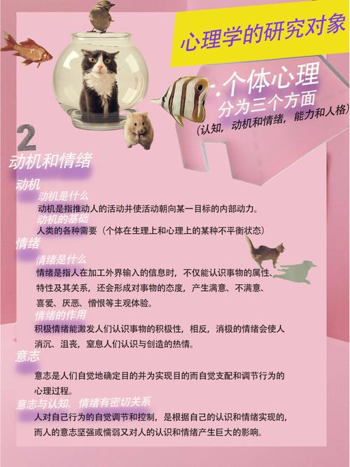 梦见与人交换东西的深刻寓意，揭秘内心潜藏情感动机！